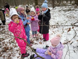 Udział klas 1b i 1c w PROJEKCIE DZIECI LASU 